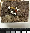 En klase med perler i glass og rav ble funnet samlet inne i gravkammeret. De har trolig hengt på en snor. Foto: Kulturhistorisk museum/UiO