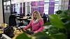 Telenor har fritt setevalg - et viktig prinsipp dersom åpent kontorlandskap skal fungere, ifølge ekspertene.