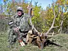 FELT MED TRINSEBUE:Norske buejegere går gjerne på jakt i USA. Her har Arve O. Vestgård felt en amerikansk elk (wapitihjort).