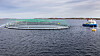 Sammenslåingen legger ifølge børsmeldingen til rette for en bedre utnyttelse av kapasiteten. Bildet er fra Salmars oppdrettsanlegg i Frohavet på trøndelagskysten.