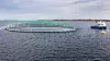 Sammenslåingen legger ifølge børsmeldingen til rette for en bedre utnyttelse av kapasiteten. Bildet er fra Salmars oppdrettsanlegg i Frohavet på trøndelagskysten.