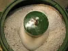 Puss, puss: Bland keramiske pellets, vann, og tilsett metalldeler i en vibrasjonsslipemaskin fra Grad-tek. Resultatet blir skinnende blanke muttere og bolter.