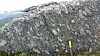 Denne knausen i Oppdal-fjellet inneholder bergarter med en helt spesiell kjemi.