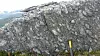 Denne knausen i Oppdal-fjellet inneholder bergarter med en helt spesiell kjemi.
