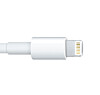 EU er ikke så glade i denne pluggen. Nå vil de tvinge Apple til å støtte micro-USB. Foto: Apple