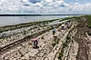 Folk går langs en del av Amazon-elven som viser tegn på dørke i Santa Sofia utenfor Leticia i Colombia i oktober. Foto: