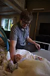 Sony NEX-5 klarte å eksponere ypperlig på dette bildet i forhold til de to andre kameraene. Her er det også langt mindre synlig støy på grunn av høy ISO.