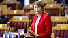 Finanspolitisk talsperson Kari Elisabeth Kaski fra SV sier til avisen DN at arbeidsgiveravgiften må tas ned i to omganger, og hun vil ha den helt borte i neste års budsjettrunde.