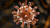 Hver gang et virus deler seg, kan det oppstå en endring i arvematerialet som kan bli til en mutasjon.