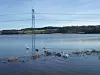 UNDER FJORDEN: 400 kV-linjer ved Årslev Engsø. Flere kraftlinjer i det danske 400 kV-nettet skal nå flyttes eller kables.