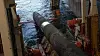 Baltic Pipe frakter norsk gass til Polen via Danmark. Røret eies av danske Energinet og deres polske motpart, Gaz-System. Åpningen skjedde samme dag som Nord Stream-gassrørene ble sprengt i Østersjøen.