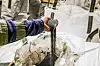 Silgrain er Elkem Bremangers egen merkevare. Det blir hevdet at produktet finnes i de fleste av verdens smarttelefoner. Det skal også ha vært på Mars med romferge fra Nasa. Foto: Jørn-Arne Tomasgard