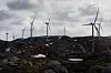 Som en del av enigheten på Sør-Fosen, skal det identifiseres nye vinterbeitearealer som Sør-Fosen sitje skal kunne benytte seg av. Samtidig får vindturbinene i Storheia vindpark stå.