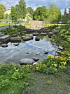 Dette er Klosterenga park i Oslo. Hovinbekken, som renner gjennom parken, har vært det mest lukkede vassdraget i Oslo. Åpne bekker kan ta unna store vannmengder og bidrar til dyre- og planteliv i byen. Foto: Ida Rambæk/Sintef