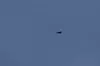 Dette skal være dronen som fløy over Litauen mandag morgen. Siden har angivelig ingen sett den, så det antas at den har styrtet. Den kom fra Belarus.