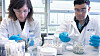 Postdoktor Gabriela Castro og professor Alexandros Asimakopoulos i laboratoriet.