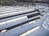 Solcellepanelene på Furuseth monteres i et område som tidligere huset en tørr og lite produktiv skog, forteller Kristin Melsnes, administrerende direktør i Solgrid. Foto: Solgrid