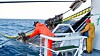 Villfanget fisk har blitt mer klimavennlig de siste årene. Det gjelder ikke for oppdrettslaksen.