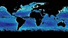 Dette kartet viser mengden klorofyll i verdens hav, målt med NASA-satellittene SeaWIFS og MODIS. Liknende resultater er påvist i over 20 år, med noe variasjon mellom årstidene.