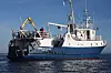 Simrad Echo ser unnselig ut, men er spekket med ultramoderne utstyr som Kongsberg Maritime tester ut. Bilde: Tore Stensvold