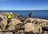 Rundt 100 personer deltar nå i oppryddingsaksjonen etter oljeutslippet. Her fra Kvisten på Frøya, stedet hvor det først ble oppdaget en oljeklump i fjæra. Foto: Equinor/Nofo