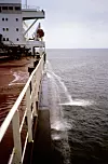 Ballastvann kan bringe med seg mange uønskede organismer. Bilde: National Ballast Information Clearinghouse, Smithsonian Environmental Research Center