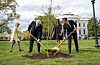 USAs president Donald Trump og Frankrikes president Emmanuel Macron planter et tre sammen foran Det hvite hus. I bakgrunnen Brigitte Macron (t.v.) og Melania Trump.