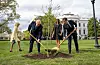 USAs president Donald Trump og Frankrikes president Emmanuel Macron planter et tre sammen foran Det hvite hus. I bakgrunnen Brigitte Macron (t.v.) og Melania Trump.