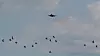 Det er en god del kollisjoner mellom fugl og fly. Noen ganger er det mest dramatisk for fuglen, men det kan både skade fly og føre til alvorlige ulykker. Her sees et amerikansk F-35A under Nato-dagene i Tsjekkia tidligere i år.