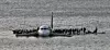 Alle om bord overlevde da dette flyet fra US Airways kolliderte med en gåseflokk rett etter avgang. Piloten klarte å nødlande flyet i Hudson-elven midt i New York. Foto: Steven Day/AP/NTB