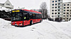 Mange busser slet med januarværet. Det ga Ruter en inntektssmell.