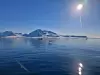 Lave temperaturer og lange vintre til tross: Arktiske havområder er fulle av liv. For forskerne er det viktig å forstå de komplekse klima- og økosystemprosessene i det nordlige Barentshavet Foto: Tore Mo-Bjørkelund