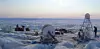 Et av feltprosjektene professor Alun Lloyd Hubbard leder på Grønland, dreier seg om å bore til bunnen av innlandsisen for prosjektet «MARCH4G – Microbial Production and Release of Methane from the Greenland Ice Sheet». Dette er et samarbeidsprosjekt mellom en rekke universiteter i Europa, hvor det subglasiale mikrobielle økosystemet og dets produksjon av metan fra Grønlandsisen er i fokus. Foto: Alun Lloyd Hubbard