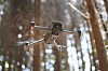 USA er ett skritt nærmere å kunne forby DJI-droner