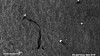 Radarbilde fra den europeiske satellitten Sentinel-1 over Nordsjøen den 11. juli som viser hvordan oljesøl kan ses i radarbilder som mørke flekker mot omkringliggende grått hav. De lyse punktene er plattformer eller skip som gir sterke refleksjoner i radarbilder. Contains modified Copernicus Sentinel data [2019].