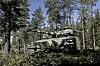 CHSnor leverer ustyr til svenske CV 90. Nå har de fått alle garantier på plass.