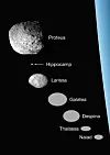 Her ses størrelsen og formen til Neptuns syv indre måner. Illustrasjon: Mark R. Showalter, SETI Institute