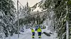 Mye snø har gjort 2018 til et kostbart år for Eidsiva Nett. Bare i januar hadde de forsyningsproblemer tilsvarende 30 millioner kroner. Nå håper de at knusing av kart- og vedlikeholdsdata kan hjelpe dem å forebygge linjebrudd på grunn av trepåfall.